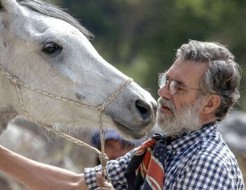Oscar ou l'art d'apprivoiser les chevaux