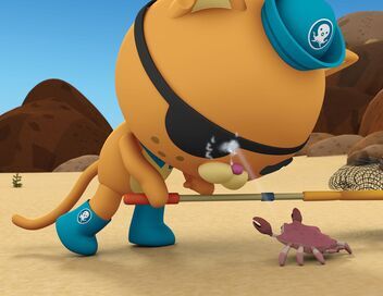 Les Octonauts