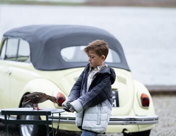 Mystères au paradis