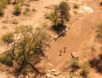 Retour à l'instinct primaire