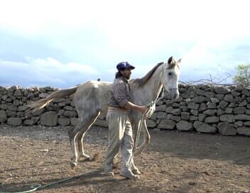 Oscar ou l'art d'apprivoiser les chevaux