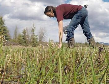 Canada : manger local, une aventure au Yukon