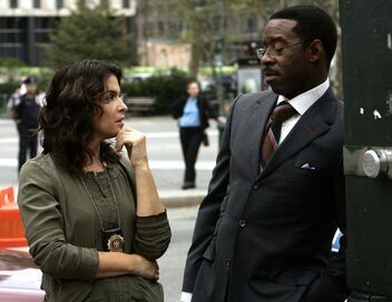 New York, section criminelle