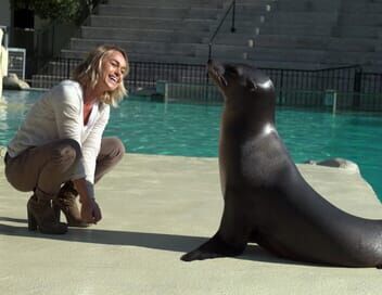 100 jours avec les animaux du Zoo de Beauval