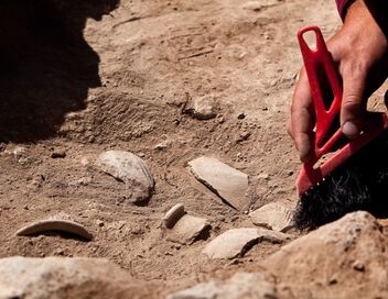 Dans la peau des premiers paysans français