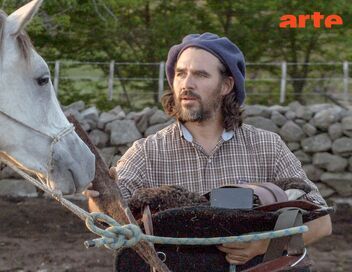 Oscar ou l'art d'apprivoiser les chevaux