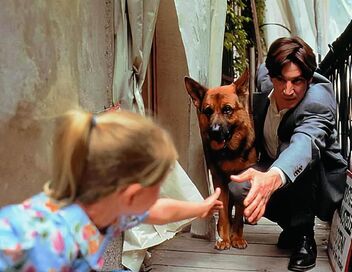 Rex, chien flic