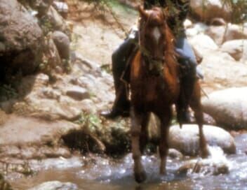 Rio Lobo