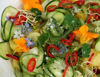 Cuisines des terroirs