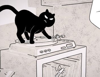 Putain de chat !
