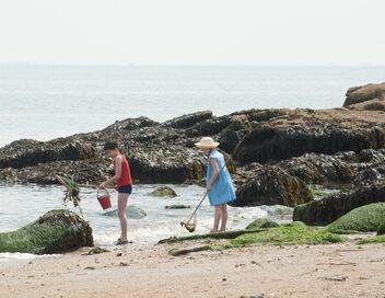 Les vacances du Petit Nicolas