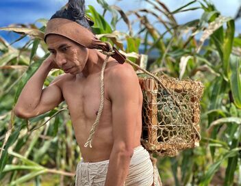 Naachtun, le royaume maya révélé