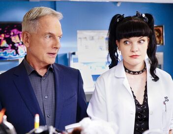 NCIS