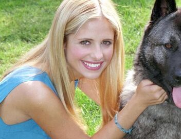 Buffy contre les vampires