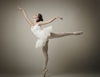 Gustavia, l'histoire du prince de Suède inconnu