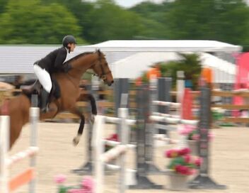 Au galop ! Une saison à cheval