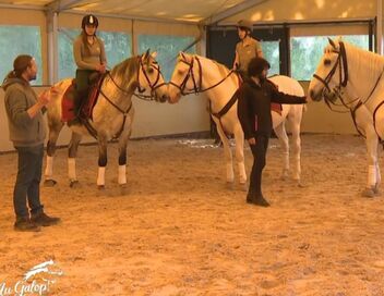 Au galop ! Une saison à cheval