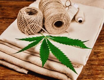 Le chanvre, cette fibre vertueuse