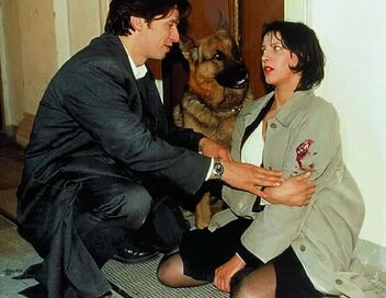Rex, chien flic