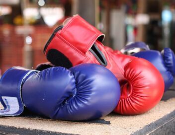 MMA : UFC Classiques