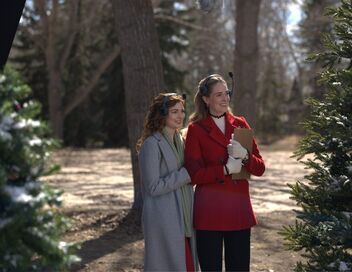 La chronique de Noël