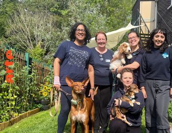 Pauvres maîtres, pauvres bêtes !