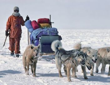Arved Fuchs, l'explorateur des glaces