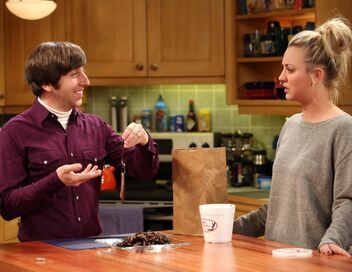 The Big Bang Theory
