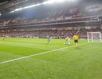 Soir d'Europe l'avant-match