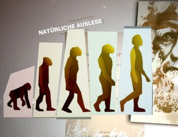 L'adaptation humaine, une question de gènes ?