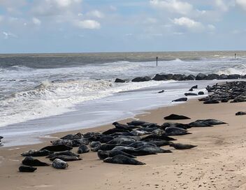 La mer du Nord par les côtes