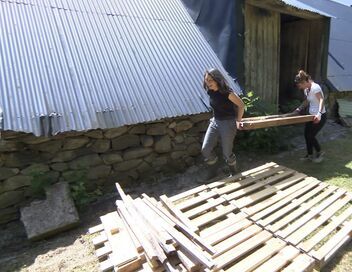 Cleaners les experts du ménage