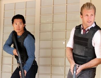 Hawaii 5-0