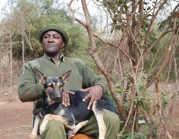 Kenya, les chiens au secours des éléphants