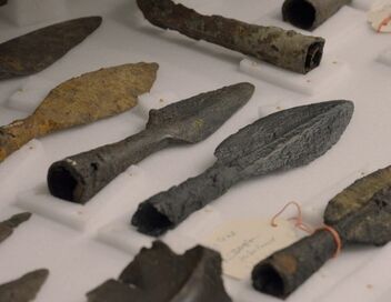 Les celtes, des origines à la chute