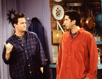 Friends