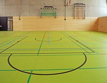 Handball : Euro masculin