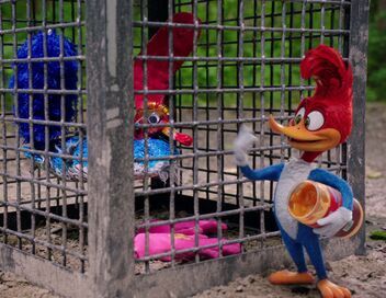 Woody Woodpecker