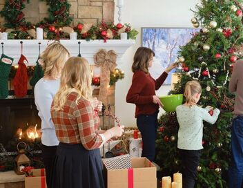 Une famille surprise pour Noël