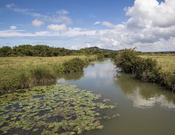L'amour est dans le pré