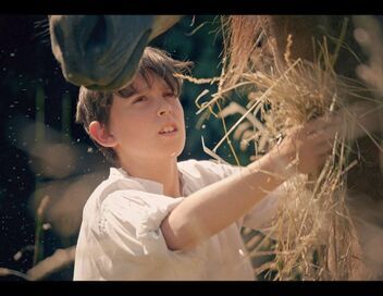 La véritable histoire de d'Artagnan