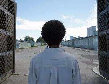 Les Noirs au temps des nazis : Des victimes oubliées