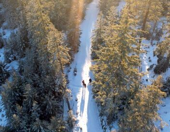 Sale temps pour la planète