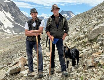 La grande transhumance au Tyrol