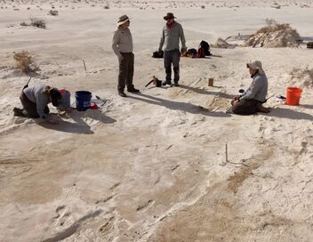 Empreintes des White Sands : sur les traces des premiers Américains