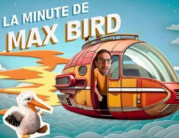 La minute de Max Bird