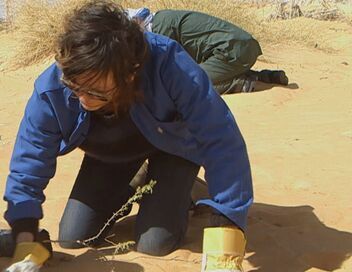 Drôles de villes pour une rencontre