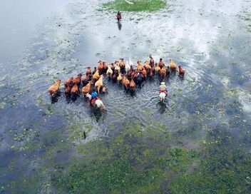 Des royaumes de terre et d'eau