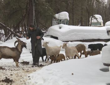 Aux frontières de l'Alaska