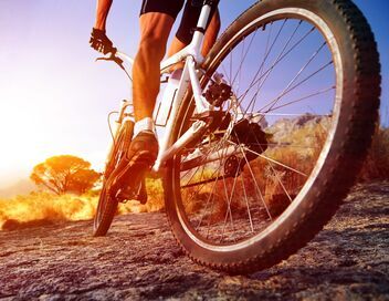 VTT : Championnats du monde